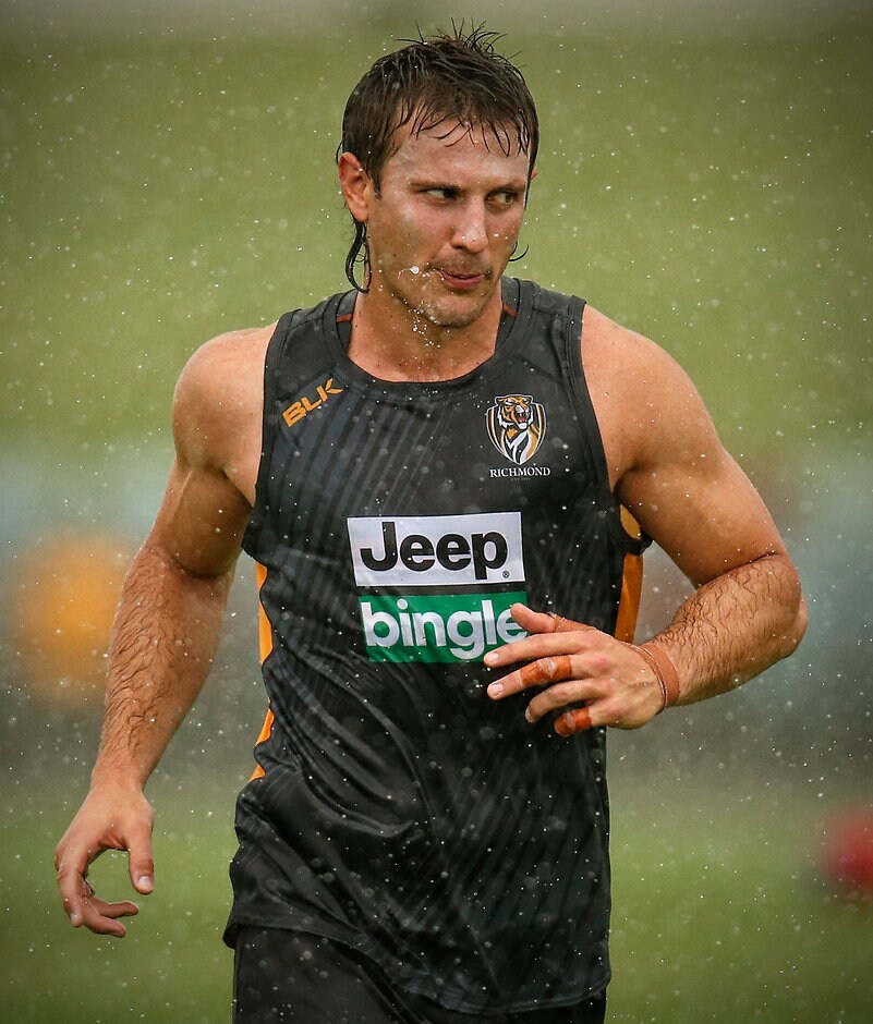 AFL 2015 Training - Tigers in Palm Cove Ivan Maric is unlikely to face the Blues on Thursday night - ${keywords}